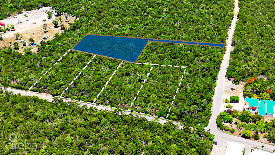 OCEAN RIDGE HEIGHTS LOT - CAYMAN BRAC - OWNER FINANCING - APPROX. .7486 ...