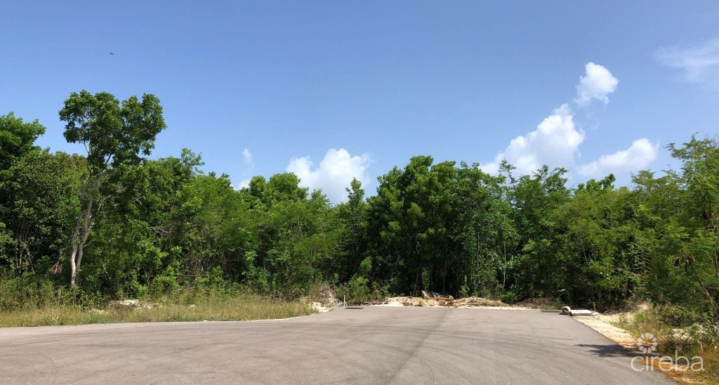 Mahogany Grove Lot 7