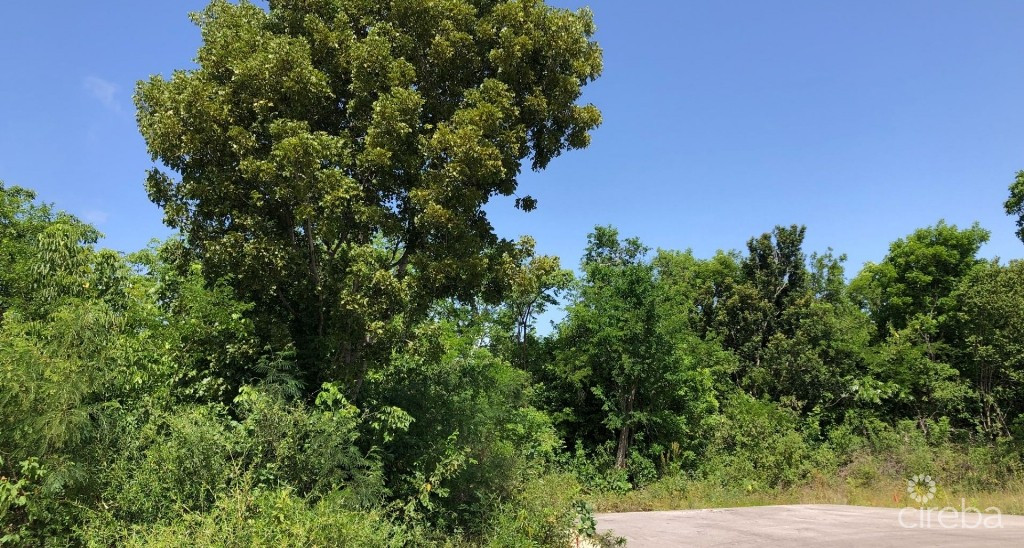 Mahogany Grove Lot 7