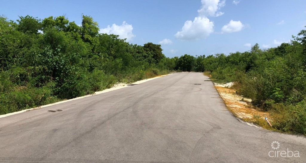 Mahogany Grove Lot 4