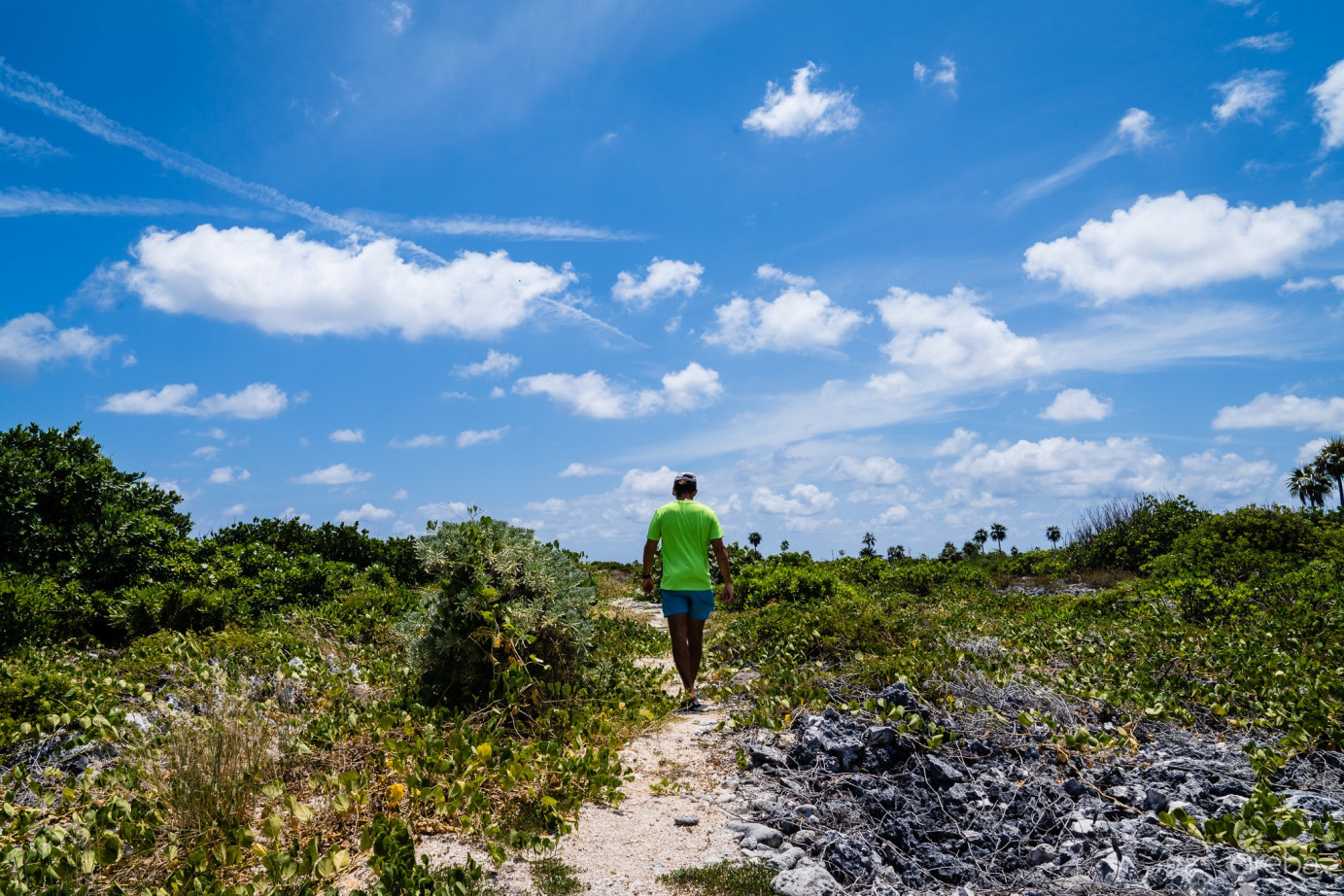 Ocean Front Paradise Villa Cayman Brac