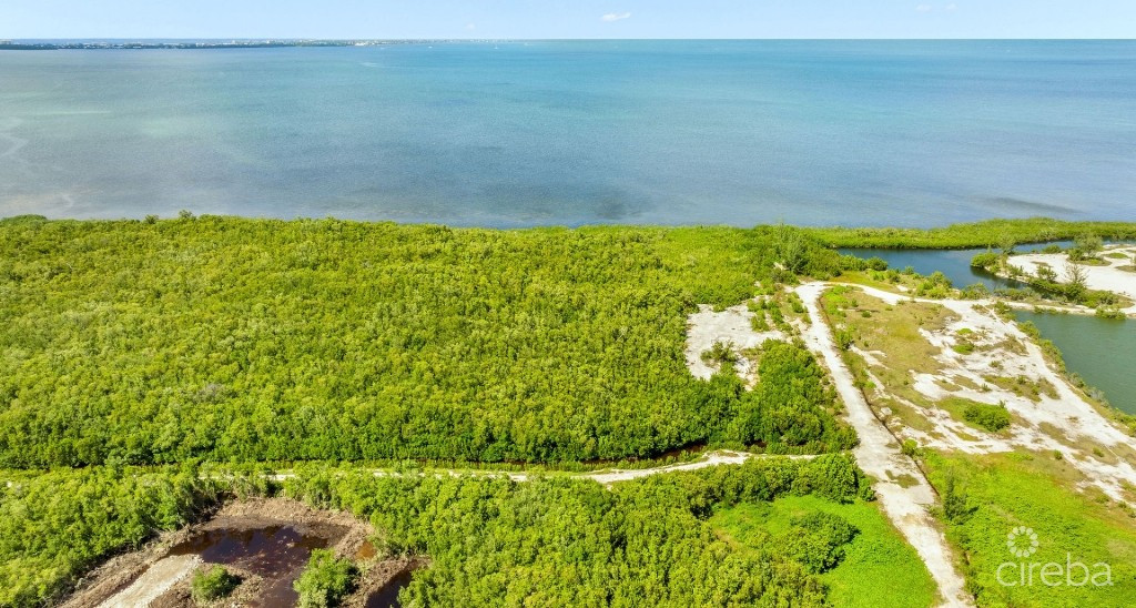 1.2 Acre Low Density Parcel