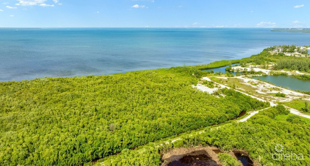 1.2 Acre Low Density Parcel