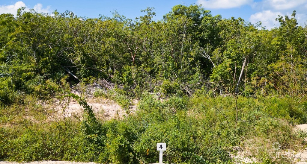 Copper Ridge - Lot #4 - Phase 2