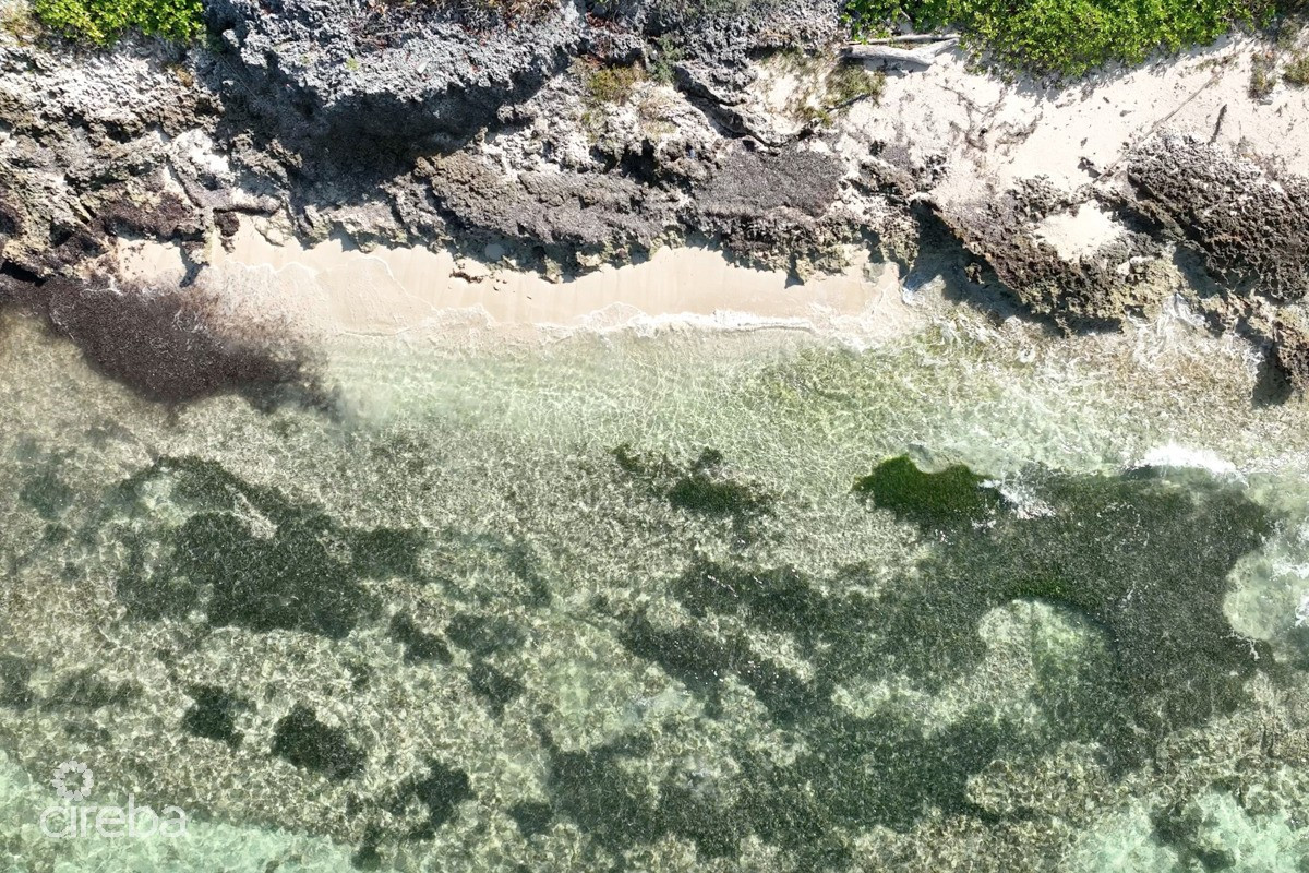 North East Coast Ocean Front Land