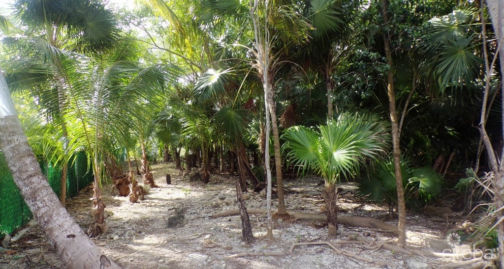 Canal Front, Filled Land, North Sound Estates