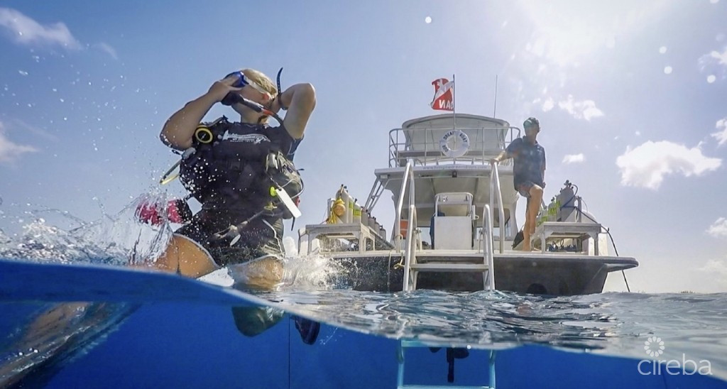 Lacovia - 4th Floor Corner Beachview