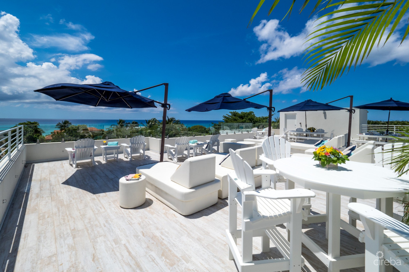 Boggy Sands Club Turtle 2