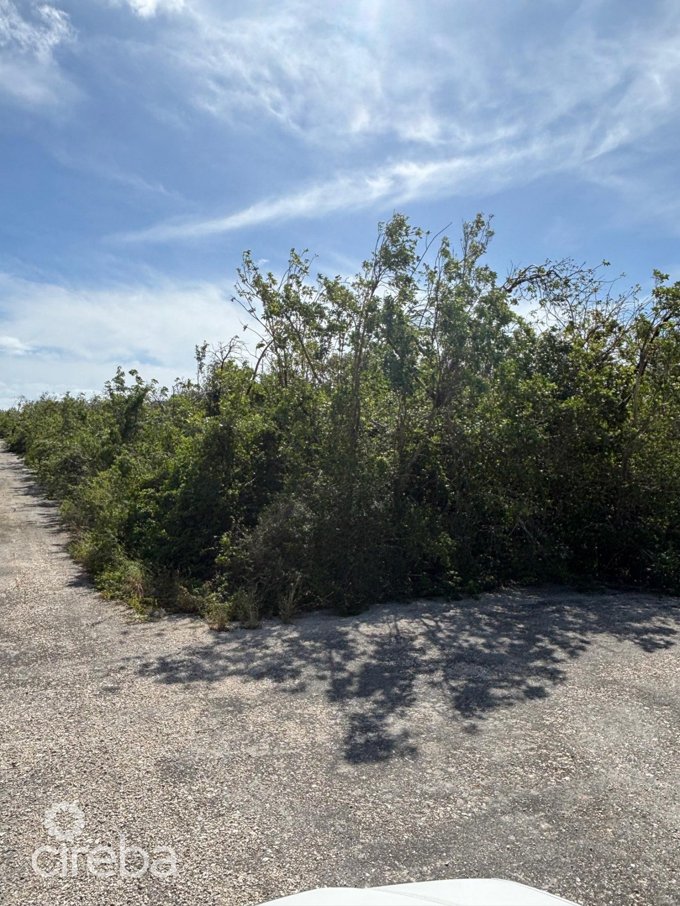Little Cayman East 0.3017 Acres