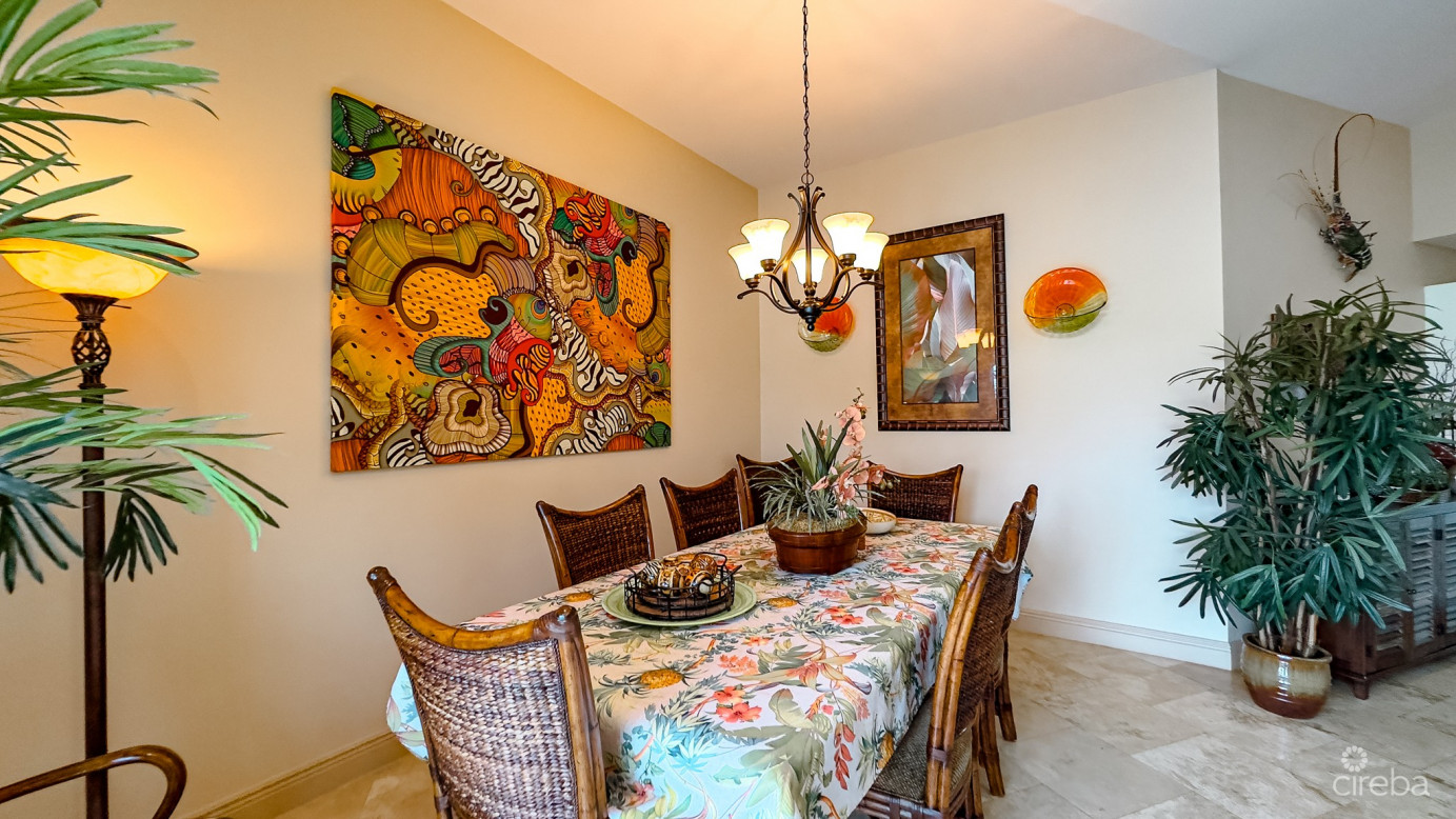 Raleigh Harbour  Penthouse With  Dock