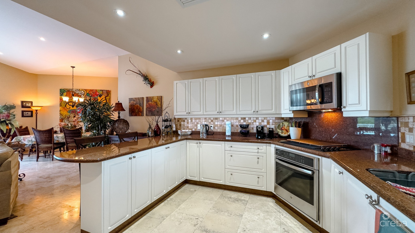 Raleigh Harbour  Penthouse With  Dock