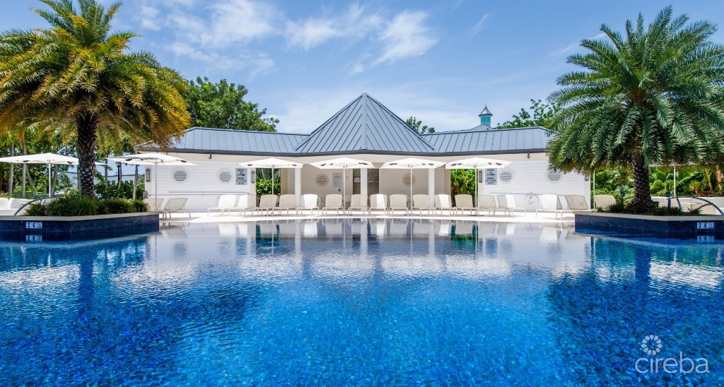 Stone Island #1302 - Phase Two