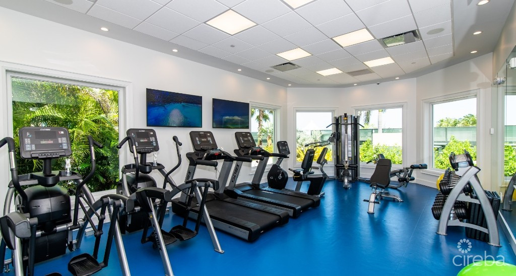 Stone Island #1302 - Phase Two