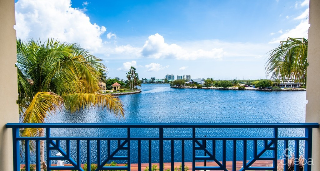 Stone Island #1003 - Phase Two