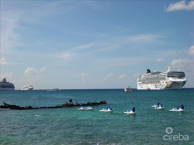 Poinsettia Ocean Front A3