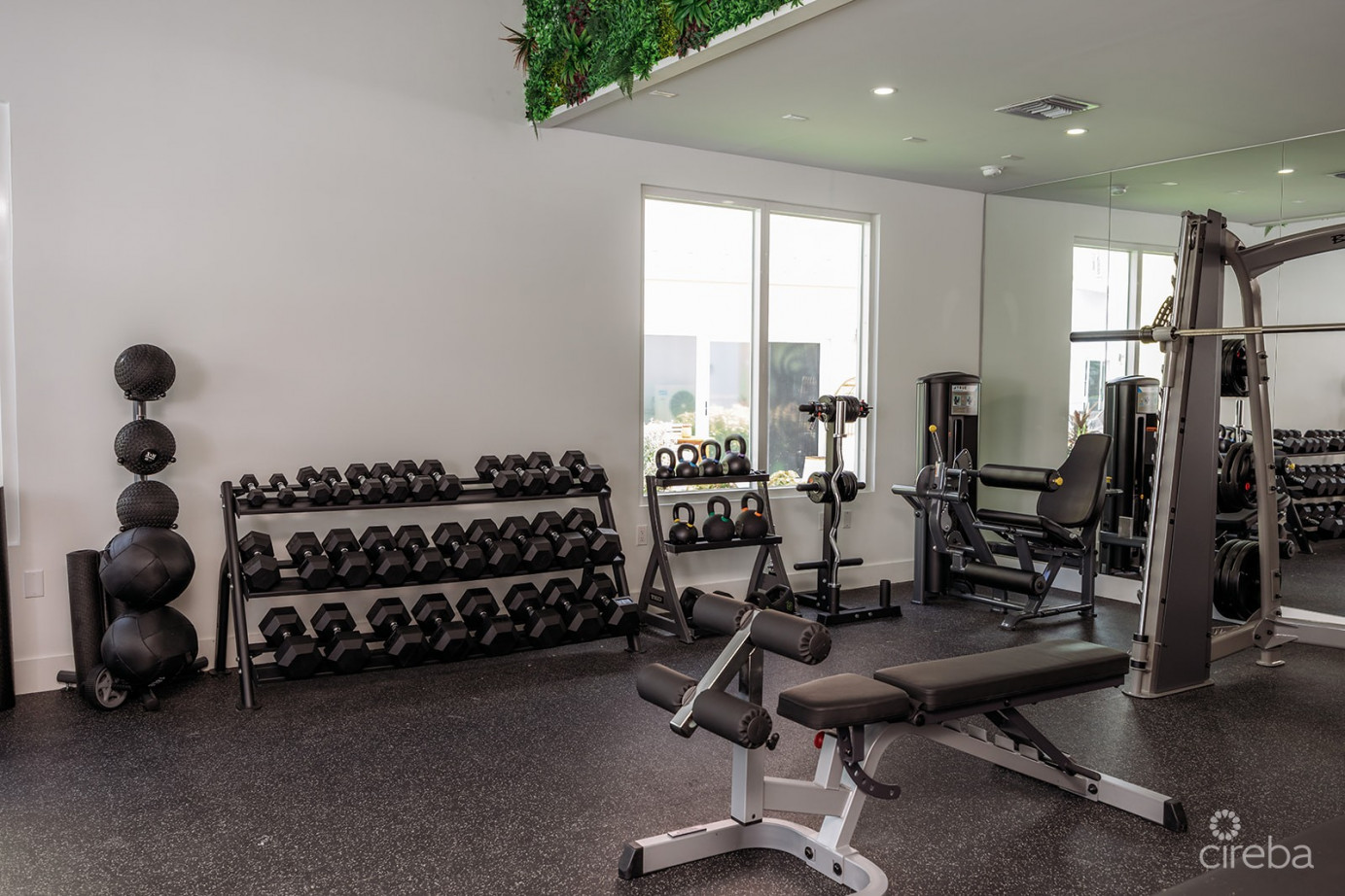 The Meadows - Papaya Townhome - 2 Bedrooms 2 Bathrooms