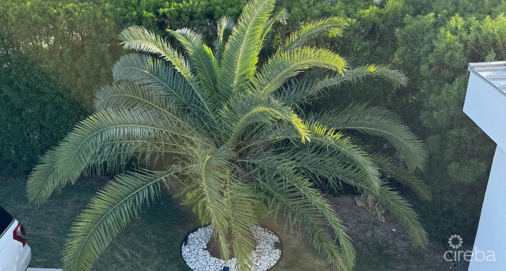 "hideaway Hill" Lush Modern Elegance Close To Sea Access