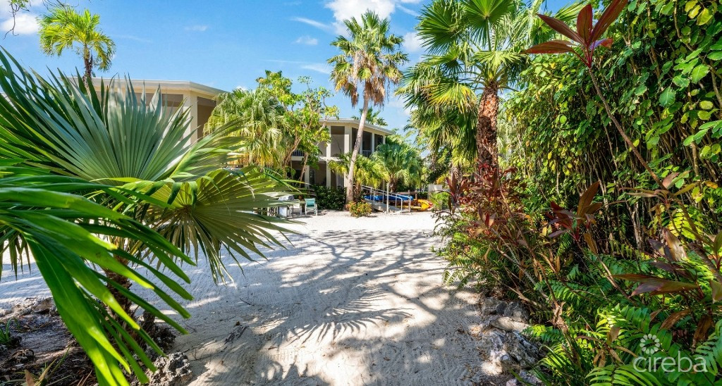 Fully Renovated Island House #9 Rum Point