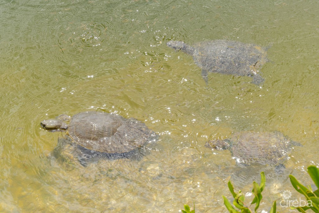 Reduced - Lakefront 3beds Home On Private Land