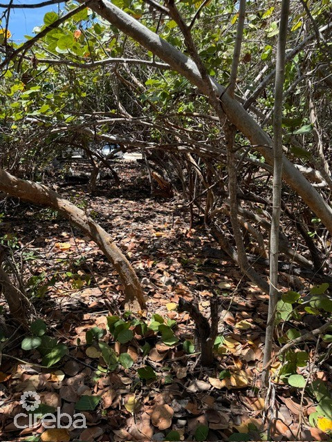 Pre-constructed Seaglass Villa Oceanfront Land