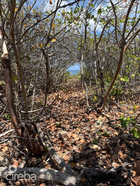 Pre-constructed Seaglass Villa Oceanfront Land