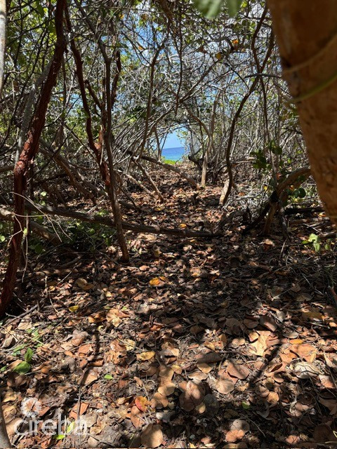 Pre-constructed Seaglass Villa Oceanfront Land