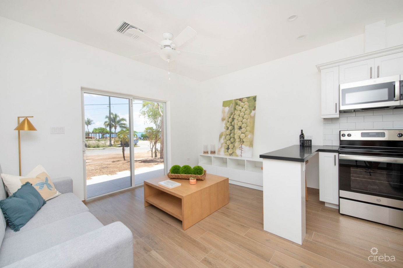 Sea Mist Condos Unit 103 - Developer Financing