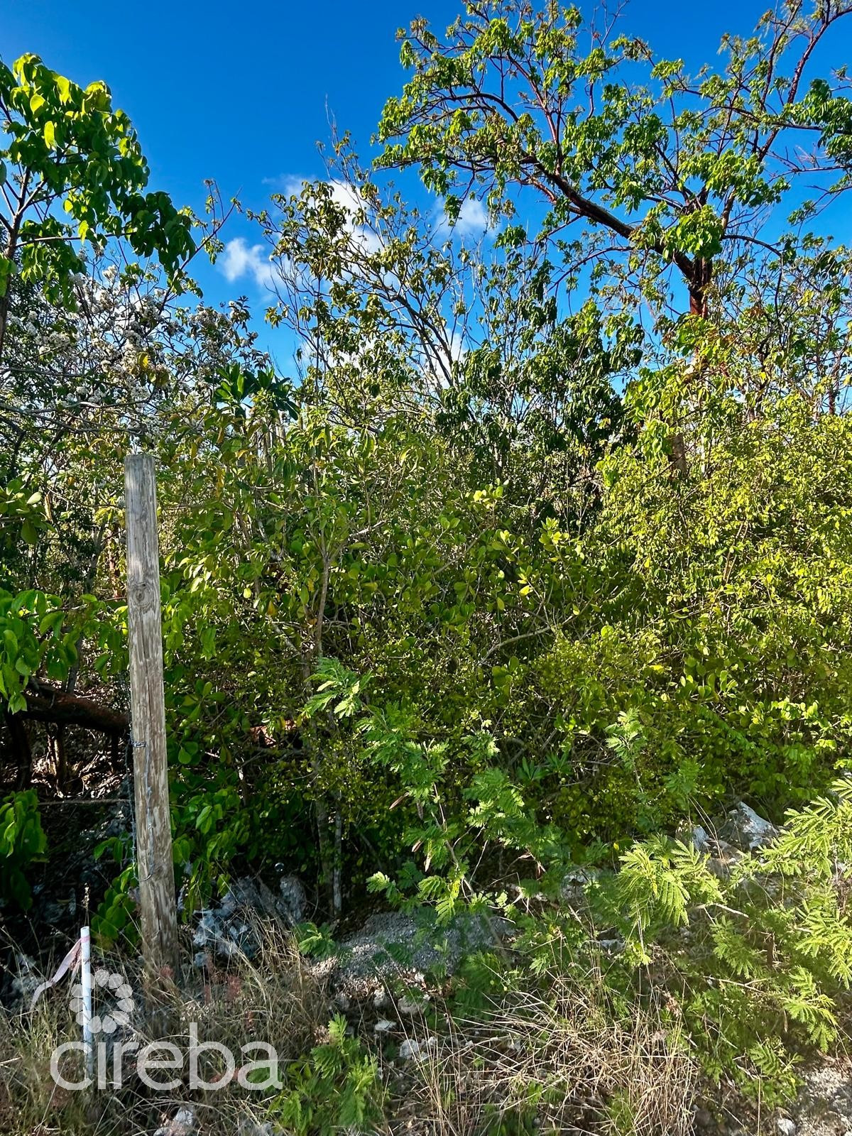 Cayman Brac Bluff Lot With Fantastic Views