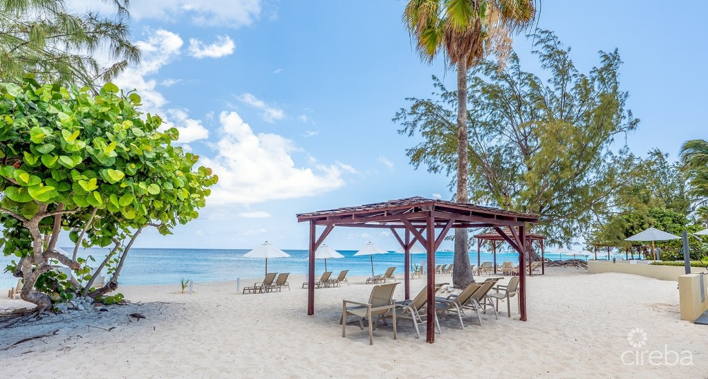 Harbour Heights - Gorgeous Views