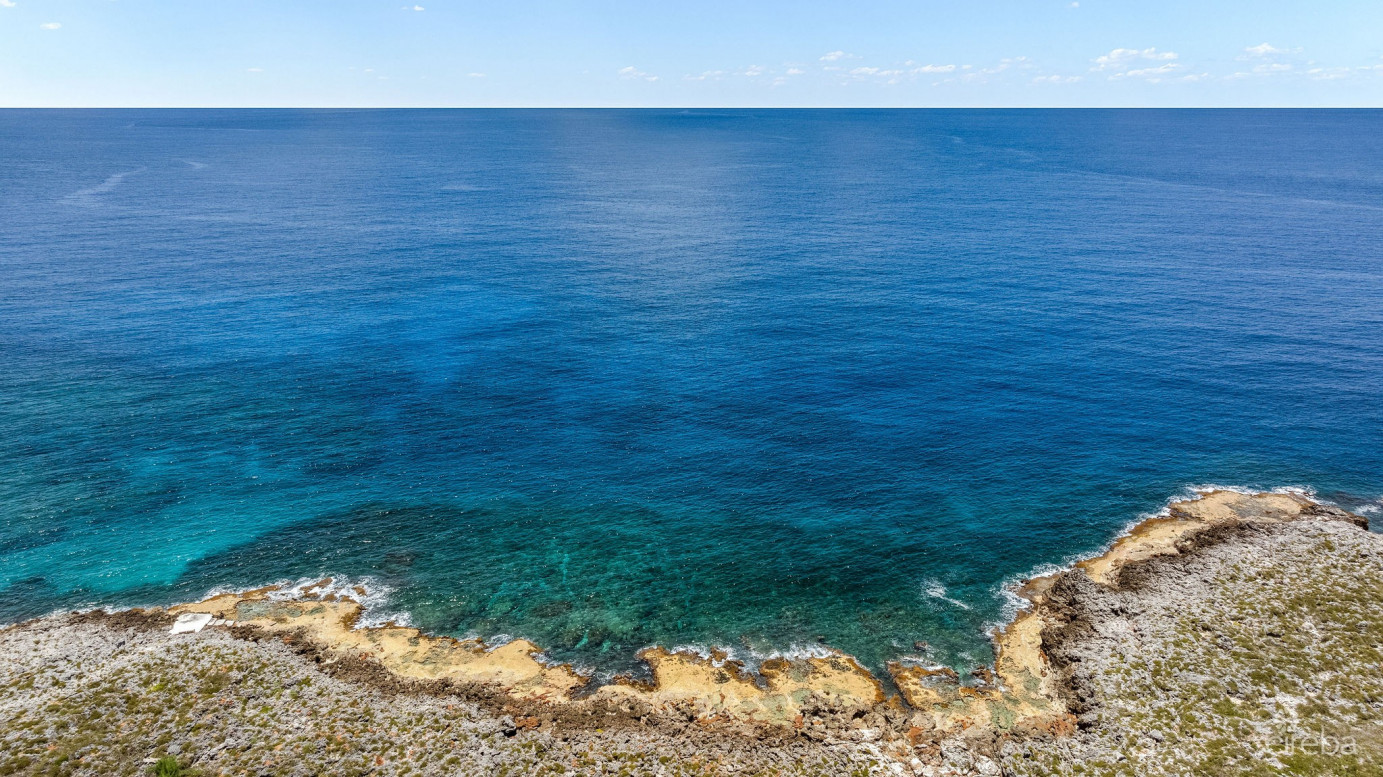 Savannah Oceanfront 3 Acre Estate
