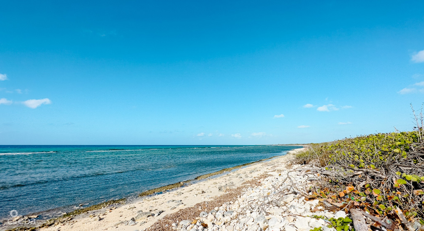 Oceanfront Land Little Cayman 