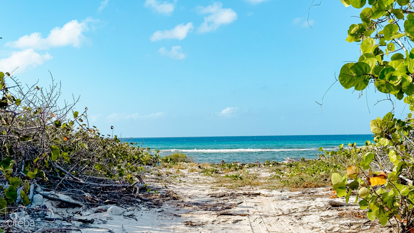 Oceanfront Land Little Cayman 