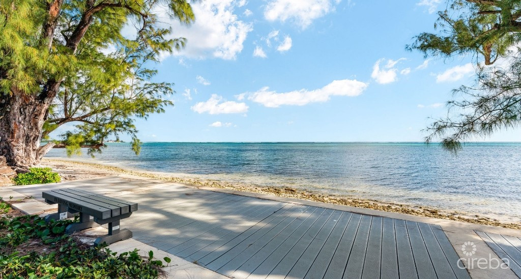 Ocean Front Modern Luxury Shore Club #3