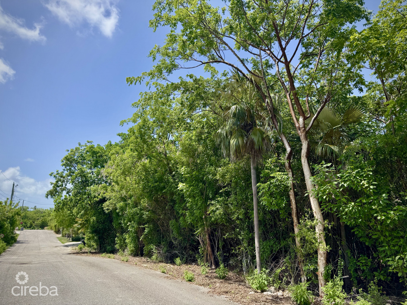 Beach Bay - Oversized Lot