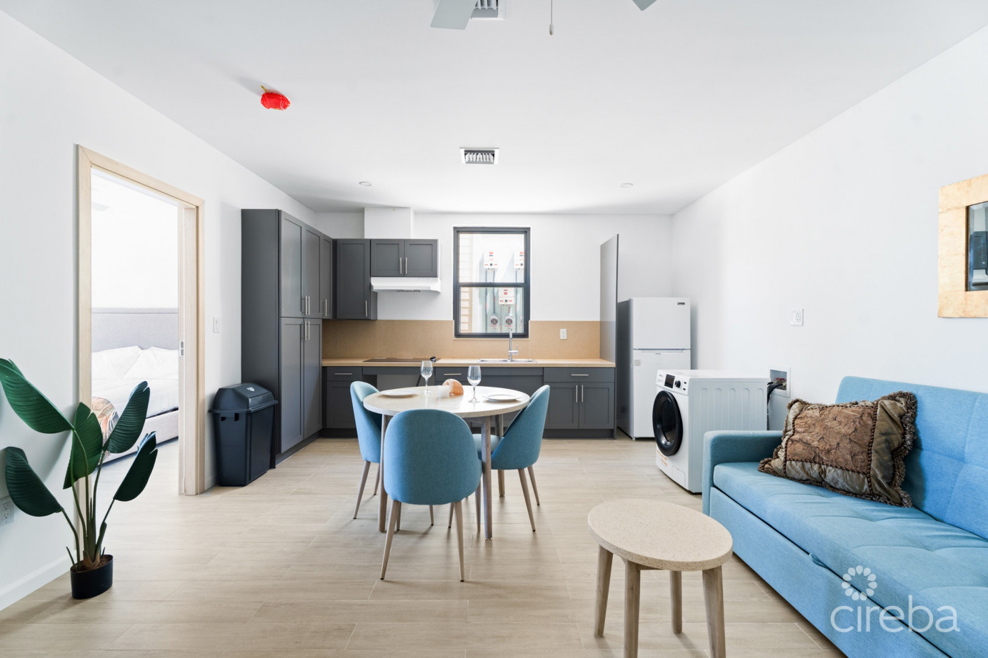 Morganville West Ground Floor 1 Bed, 1 Bath