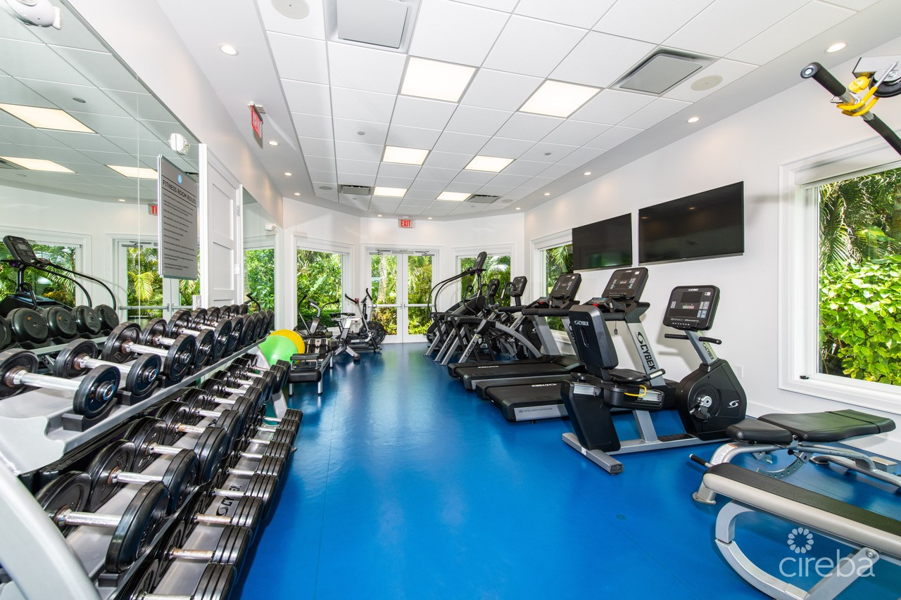 Stone Island Phase Ii - Unit 1103 Assignment