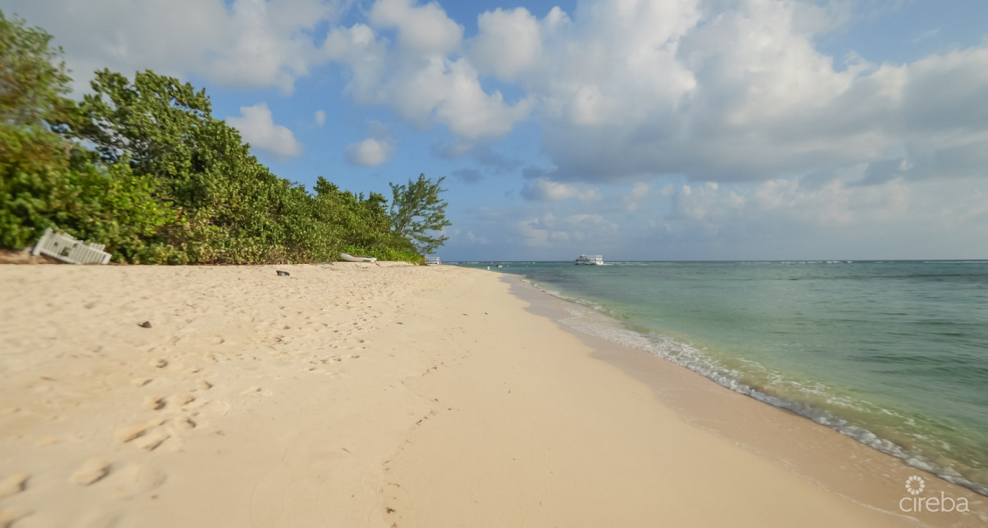 The Mantras #33 (south Sound Townhome W/ Custom Back Garden)