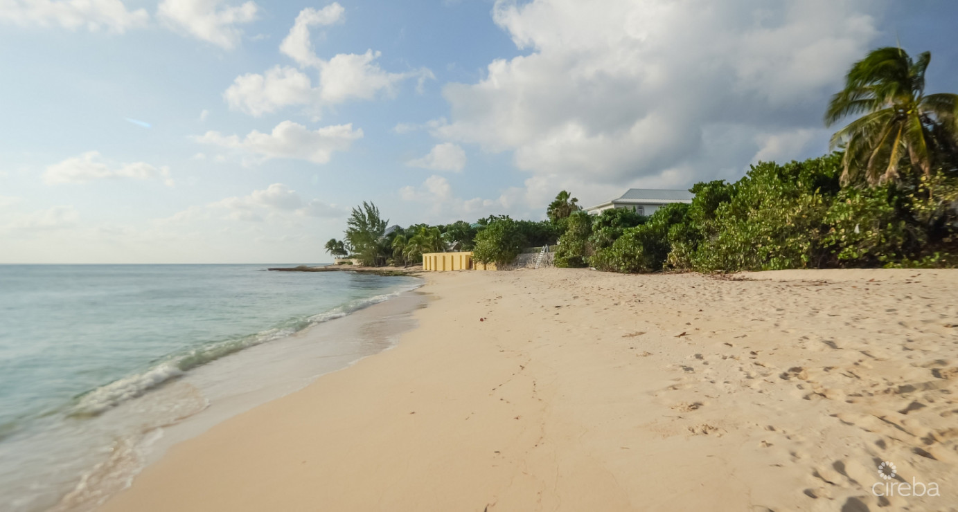 The Mantras #33 (south Sound Townhome W/ Custom Back Garden)