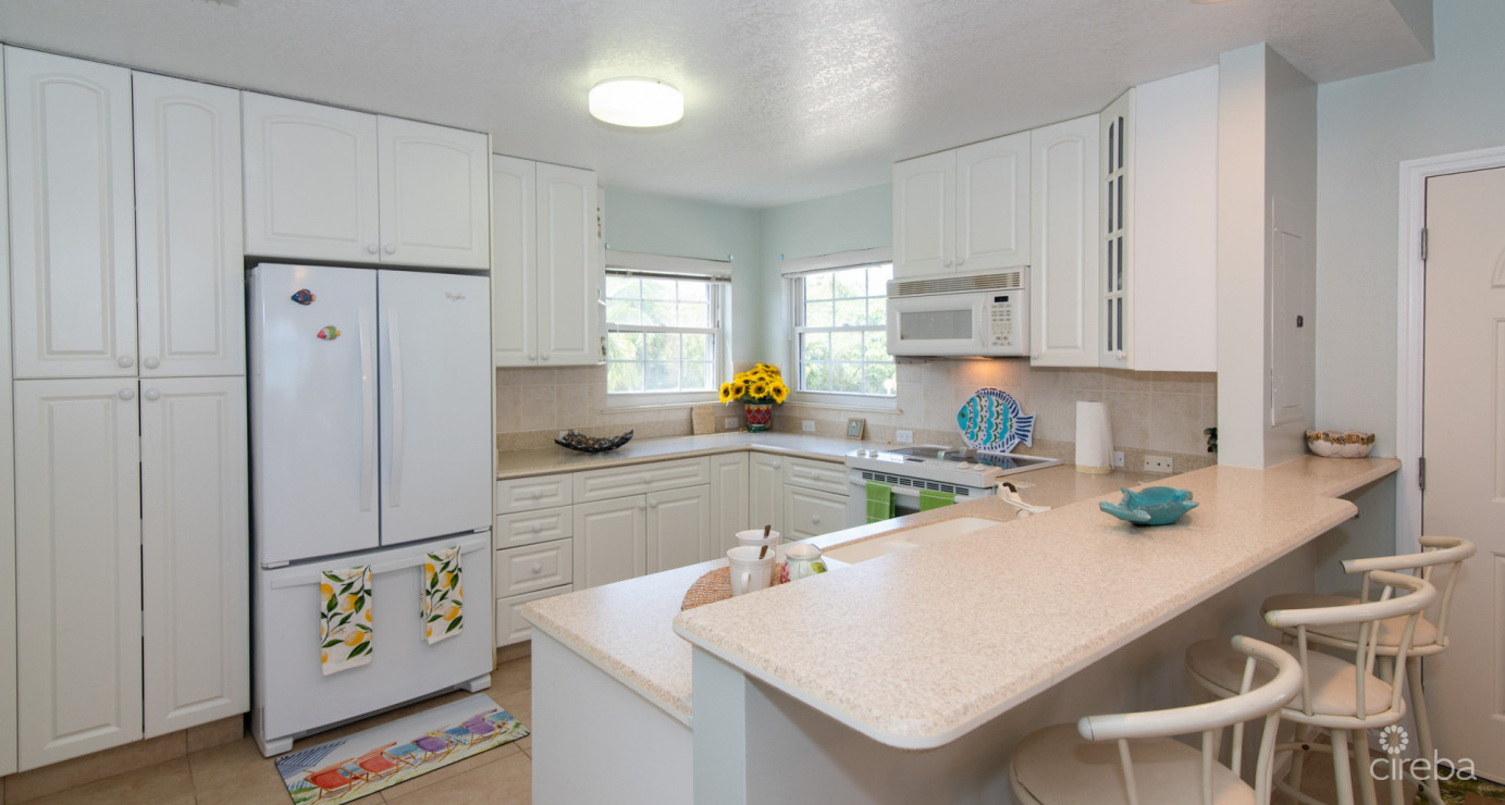 Beachfront Northside Condo Northern Lights 4