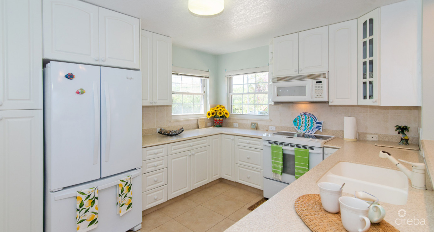 Beachfront Northside Condo Northern Lights 4