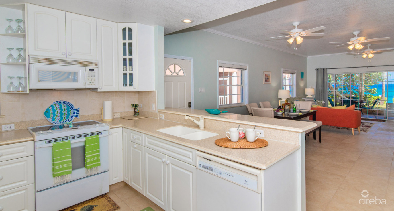 Beachfront Northside Condo Northern Lights 4