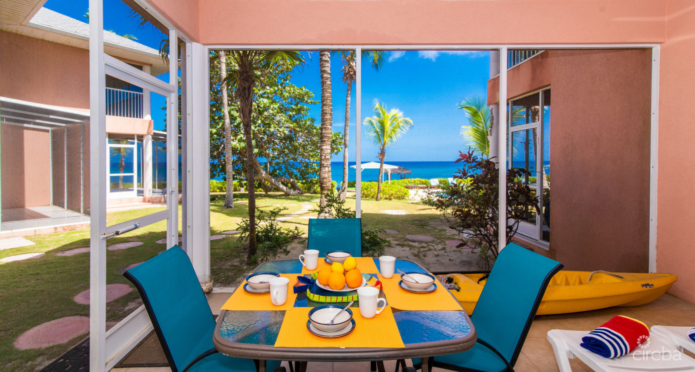 Beachfront Northside Condo Northern Lights 4