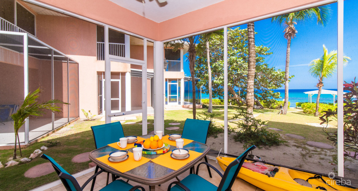 Beachfront Northside Condo Northern Lights 4