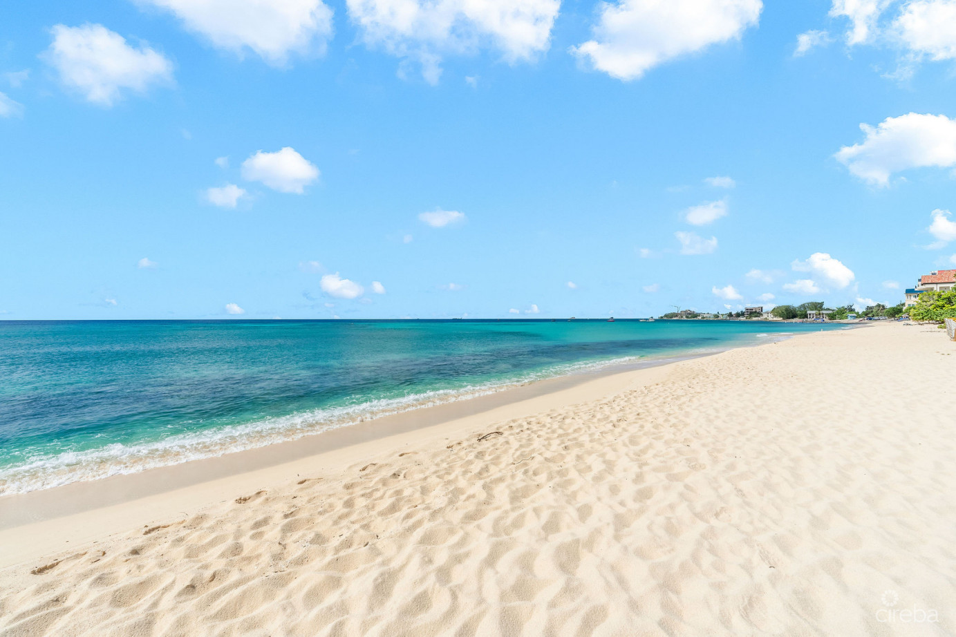 Ocean Front 4 Bed Condo Smb- The Sands