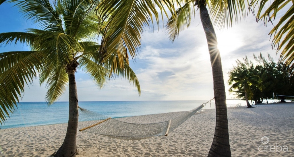 Lacovia - Ground Floor Beachview (assignment)