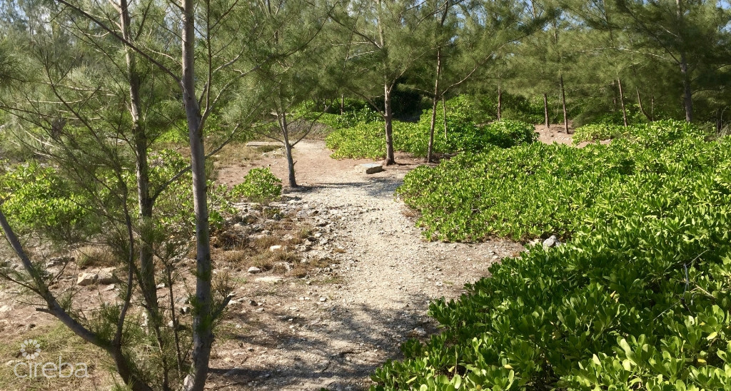 Spotts Huge Seafront Site - Next To Wellness Park