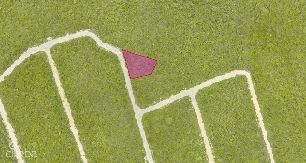 Cayman Brac Inland Parcel - Owner Financing Offered!!