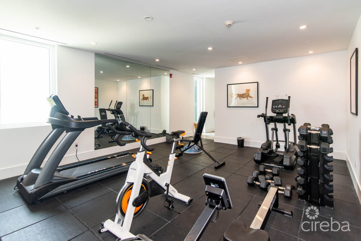 Rum Point Club # 404