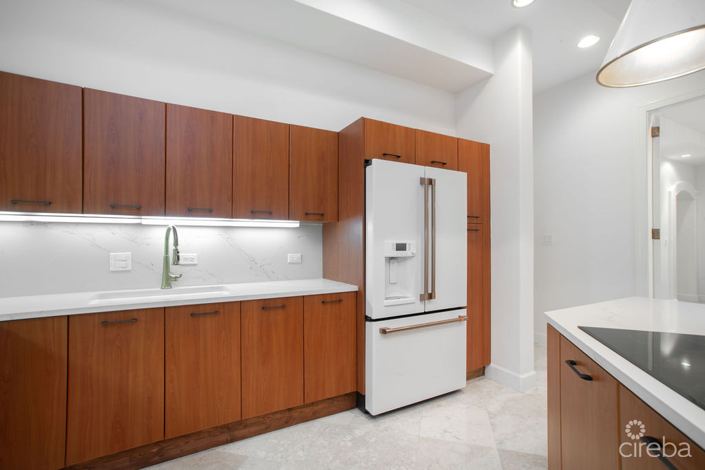 Britannia Kings Court Totally Renovated Rare Jewel Townhome