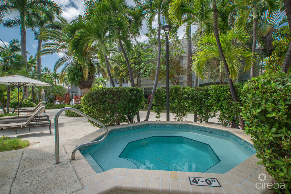 Britannia Kings Court Totally Renovated Rare Jewel Townhome